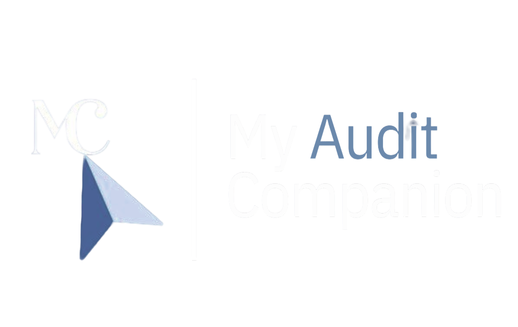 My Audit Companion